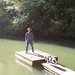 Forrest Mcdonald Photo 16
