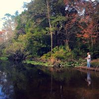 Scott Rhinehart Photo 19