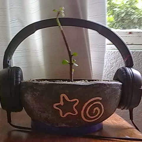 Cinthya Ortega Photo 5