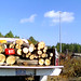 Jim Robeson Photo 9