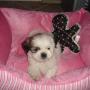 Nancy Castellon Photo 7