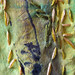 Sue Moran Photo 15
