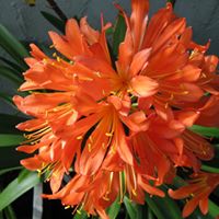 Robin Coulson Photo 21