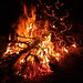 Jacqueline Burns Photo 19