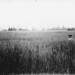 Albert Barnes Photo 35