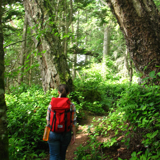 Jennifer Head Photo 11