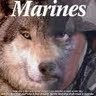 James Arrants Photo 14