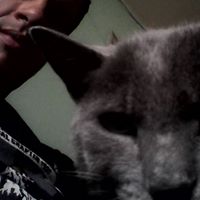Freddy Rodriguez Photo 32