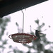 Shelia Turner Photo 22