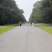 Anne Parks Photo 29