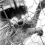 Julie Hedrick Photo 33