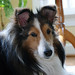 Timmy Nicholas Photo 8