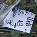 Kylie Robinson Photo 15