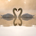 Kevin Swan Photo 25
