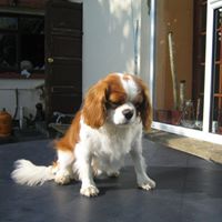 Patsy Power Photo 12