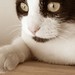 Fred Hunter Photo 17