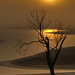 Dawn Johnston Photo 19