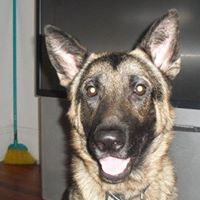 Jerry Bean Photo 22