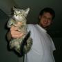 Scott Ricketts Photo 13