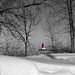 Joan Adams Photo 45