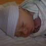 Mary Holden Photo 11