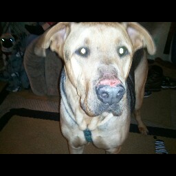 Gus Hayes Photo 2
