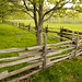 Joseph Meadows Photo 35