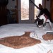 Sandy Felts Photo 11