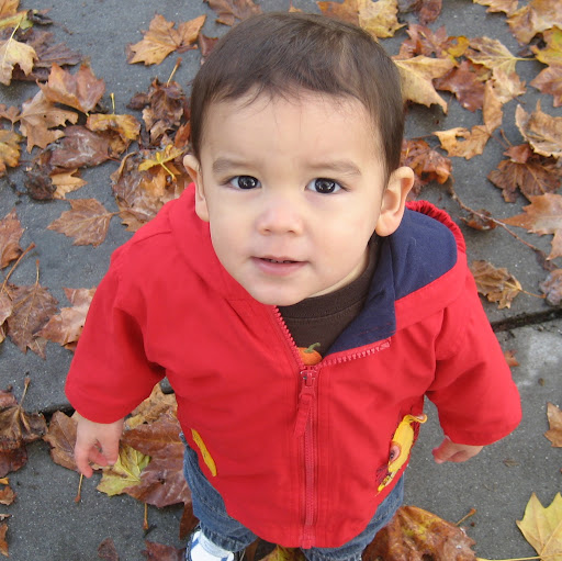 Robert Fortner Photo 5