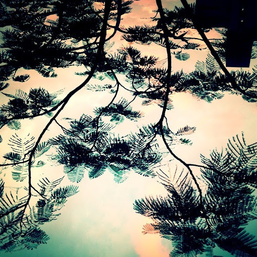 Ping Sun Photo 28