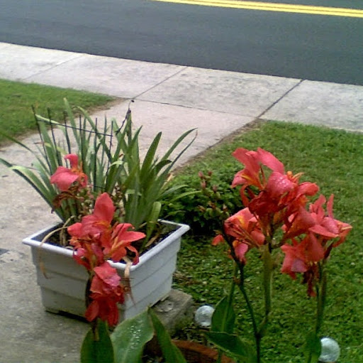 Patricia Tate Photo 31
