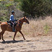 Jerry Bair Photo 8