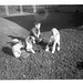 Eric Elmer Photo 9