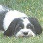 Ruth Reno Photo 4