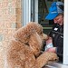Kathy Cooper Photo 16