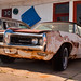 Steve Rust Photo 22