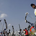 Andres Gonzalez Photo 25