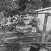 Kenneth Mckinney Photo 13