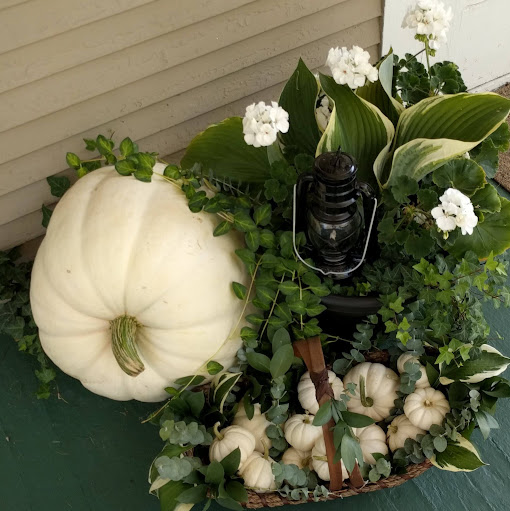 Susan Kramer Photo 29