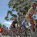 Oscar Henderson Photo 8