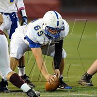 Paulette Damiano Photo 4