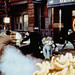 Diane Virgil Photo 8