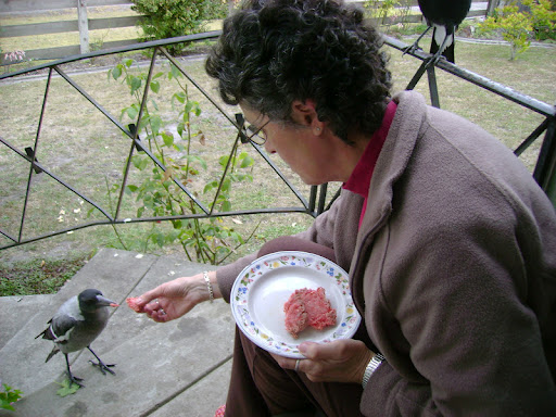Lina Jones Photo 39