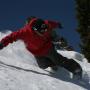 Bob Ryan Photo 15