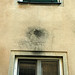 Anton Gruenes Photo 7