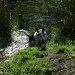Rosie Woods Photo 20