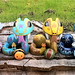 Joy Ledbetter Photo 9