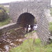 Debbie Collier Photo 7