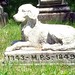 Mary Saunders Photo 13