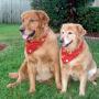 Debbie Wilder Photo 17